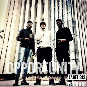 双手脚铐口球锁入笼子文
