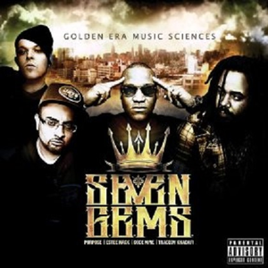 双手脚铐口球锁入笼子文
