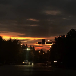 双手脚铐口球锁入笼子文
