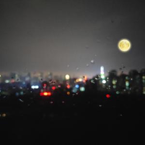 双手脚铐口球锁入笼子文
