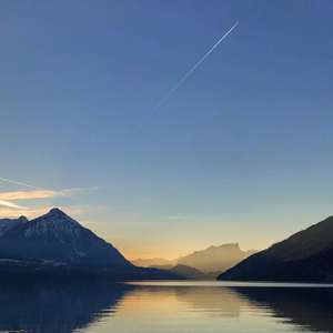 双手脚铐口球锁入笼子文
