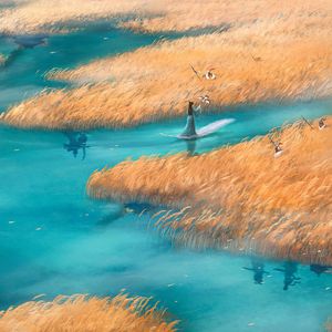 双手脚铐口球锁入笼子文
